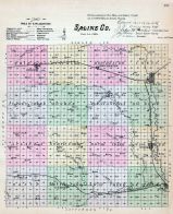 Saline County, Nebraska State Atlas 1885